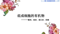 高中必修一生物第2章《组成细胞的有机物》ppt课件3-统编人教版