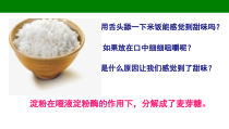 高中必修一生物《一 酶的作用和本质》ppt课件3-统编人教版