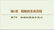 高中生物必修一《第3节 细胞的衰老和死亡》ppt课件1-统编人教版