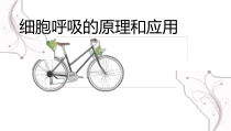 高中生物必修一《第3节 细胞呼吸的原理和应用》ppt课件2-统编人教版