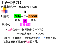 高中生物必修一《第5节 核酸是遗传信息的携带者》ppt课件1-统编人教版