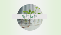 高中生物必修一《二 酶的特性》ppt课件-统编人教版