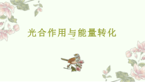 高中生物必修一《第4节 光合作用与能量转化》ppt课件-统编人教版