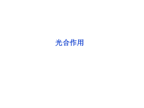 高中生物必修一《二 光合作用的原理和应用》ppt课件1-统编人教版