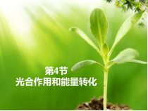 高中生物必修一《光合作用和能量转化》ppt课件-统编人教版