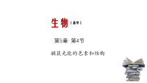 高中生物必修一《一 捕获光能的色素和结构》ppt课件5-统编人教版