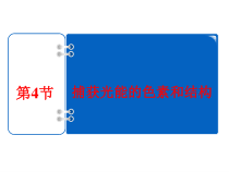 高中生物必修一《一 捕获光能的色素和结构》ppt课件2-统编人教版