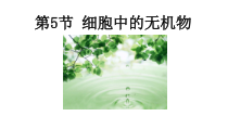 高中生物必修一第2章《第5节 细胞中的无机物》ppt课件1-统编人教版