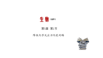 高中生物必修一《一 酶的作用和本质》ppt课件1-统编人教版
