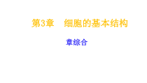 高中生物必修一第3章《细胞的基本结构》复习ppt课件5-统编人教版