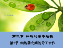 高中生物必修一第3章《第2节 细胞器之间的分工合作》ppt课件2-统编人教版