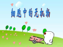 生物高中必修一《第2节 细胞中的无机物》ppt课件4-统编人教版
