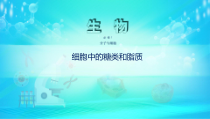 生物高中必修一《第3节 细胞中的糖类和脂质》ppt课件4-统编人教版