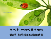 高中生物必修一第3章《本章综合与测试》ppt课件-统编人教版