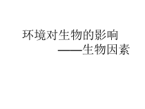 《第一节 环境对生物的影响》PPT课件1-北京版生物八年级下册