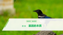 高中必修二生物第3章《基因的本质》复习ppt课件3-统编人教版