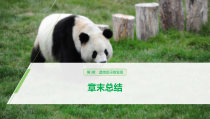 高中必修二生物第1章《遗传因子的发现》复习ppt课件3-统编人教版
