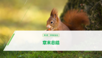 高中必修二生物第6章《生物的进化》复习ppt课件3-统编人教版
