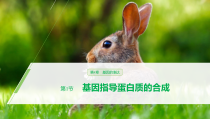 高中必修二生物《第1节 基因指导蛋白质的合成》ppt课件3-统编人教版