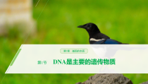 高中生物必修二《第1节 DNA是主要的遗传物质》ppt课件1-统编人教版