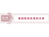 高中生物必修二《第1节 减数分裂和受精作用》ppt课件2-统编人教版