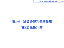高中生物必修二《第1节 减数分裂和受精作用》教学课件-统编人教版