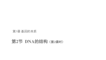 高中生物必修二《第2节 DNA的结构》ppt课件-统编人教版