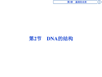 高中生物必修二《第2节 DNA的结构》ppt课件2-统编人教版