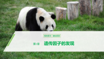 高中生物必修二第1章《遗传因子的发现》复习ppt课件2-统编人教版