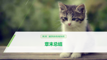 高中生物必修二第2章《基因和染色体的关系》章末复习教学课件-统编人教版