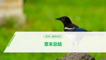 高中生物必修二第3章《基因的本质》复习ppt课件1-统编人教版
