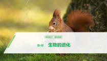 高中生物必修二第6章《生物的进化》复习ppt课件2-统编人教版