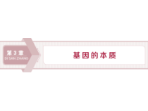 生物高中必修二《第1节 DNA是主要的遗传物质》ppt课件4-统编人教版