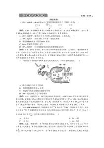 高中生物必修二《第3节 DNA的复制》随堂达标检测-统编人教版