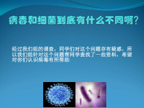 《第七节 病毒》PPT课件-北京版生物八年级下册