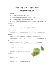 《第三节 多细胞生物体的结构层次》教学设计3-济南版生物七年级上册