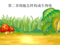 济南版生物七年级上册（课件8份可预览）