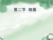 《第二节 细菌》PPT课件1-济南版生物七年级上册