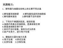 《第三节 真菌》PPT课件1-济南版生物七年级上册