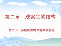 《第三节 多细胞生物体的结构层次》PPT课件2-济南版生物七年级上册