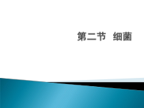 《第二节 细菌》PPT课件2-济南版生物七年级上册