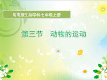 《第三节 动物的运动》PPT课件1-济南版生物七年级上册