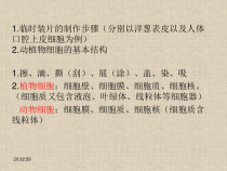 《第二节 细胞的分裂与分化》PPT课件1-济南版生物七年级上册