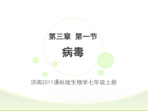 《第一节 病毒》PPT课件2-济南版生物七年级上册