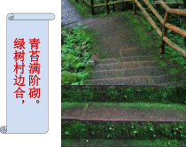 《第一节 绿色植物的主要类群》PPT课件2-济南版生物七年级上册