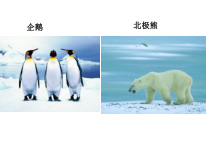 《第十章 极地地区》PPT课件2-人教版地理七年级下册