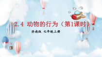 《第四节 动物的行为》PPT课件1-济南版生物七年级上册