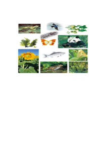 《第一节 生物的分类方法 活动图片》素材-济南版生物七年级上册