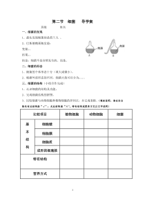 《第二节 细菌》导学案-济南版生物七年级上册