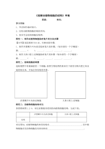 《观察动植物细胞的结构》导学案-济南版生物七年级上册